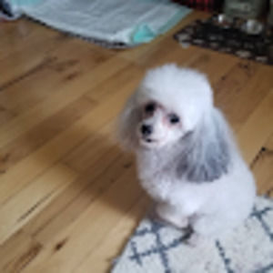 Meet your Posher, Kathy